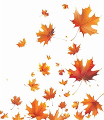 Autumnal maple leaves falling on a white backdrop. Decorative, graphic usage