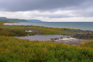 Russia, Murmansk Oblast, Rybachy Peninsula. Barents Sea coast. August 2025