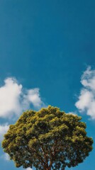 Lush green tree with full crown against a vibrant, cloudy blue sky