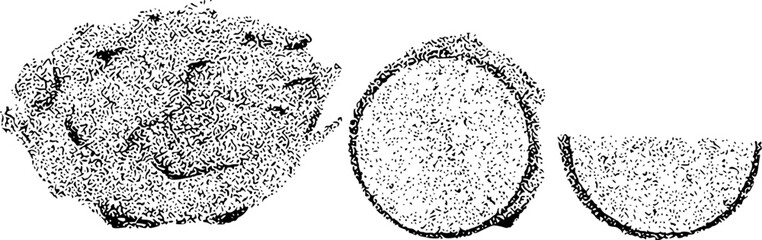Black and White Illustration of Three Spherical Objects, One Cut in Half