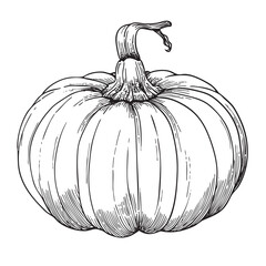 Engraved-style drawing of a round harvest pumpkin.