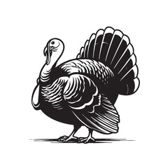  Black and white woodcut style image of a turkey.