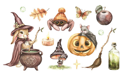 Halloween set with wizard bunny, spider, bat on pumpkin, cauldron, fly agaric, witch broom. Esoteric clipart. Hand drawn watercolor illustration isolated on white. Kids autumn magic print, sticker.