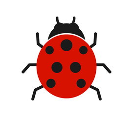 Ladybug beetle illustration on white background. Ladybird vector element.