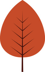 vector illustration of an autumn leaf