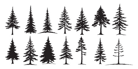 Obraz premium Majestic Pine Tree Silhouettes Set, Natural Forest Evergreens in Black Vector Style