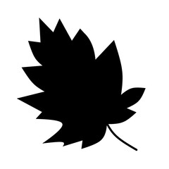 Green leaf ecology nature element vector icon, Leaf Icon, green leaf ecology nature element vector