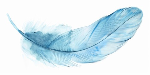 Blue feather floats softly, isolated on white for design/background/templates use