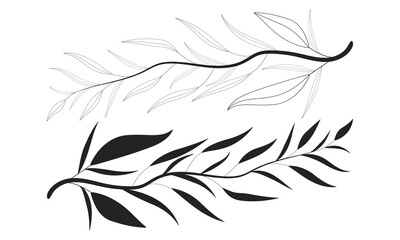 Branch Petal Doodle Tree Leafy Black Contour Drawing Decorative Illustrator Art