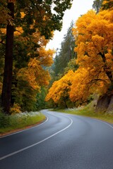 Fototapeta premium Serene autumn road curving through lush forest with vibrant foliage