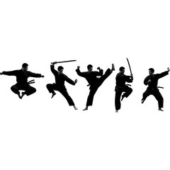 Martial artist performing various karate moves in silhouette