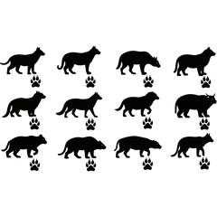 Silhouette collection of various animals with paw prints on white