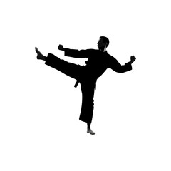 Karate practitioner performing high kick in silhouette, isolated on white