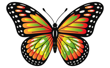 Colorful Butterfly Vector Illustration with Vibrant Wings