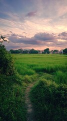 Obraz premium Lush green field with path under a pastel sunset sky. Rural scene