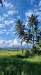 Obraz premium Lush green rice fields, palm trees, under a blue sky with puffy clouds