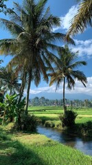 Obraz premium Lush tropical scene with palm trees, a river, rice fields, and mountains under a blue sky