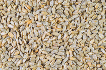 Sunflower Seeds Background Texture - Close Up