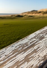 Weathered wooden railing overlooks a serene landscape of vibrant greens and distant dunes on the coast