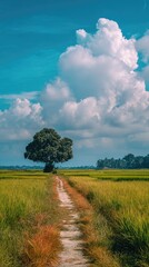 Path through golden field with solitary tree under a cloudy sky