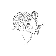 Detailed Line Art of a Rams Head with Curled Horns.