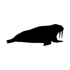 Walrus Silhouette Vector Illustration , Animal Silhouette Element