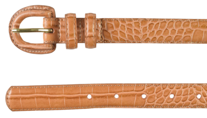 Stylish Brown Belt Isolated on White Background