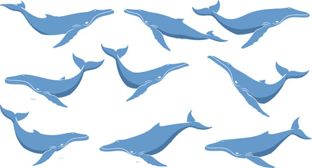 Fototapeta premium Blue whale illustration, cartoon whales, swimming poses, marine life, ocean animals, vector art, sea creatures, graceful motion, stylized design, aquatic icons