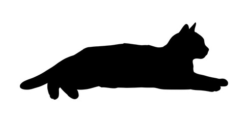 Cat Silhouette Vector Illustration , Animal Silhouette Element