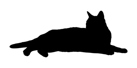 Cat Silhouette Vector Illustration , Animal Silhouette Element