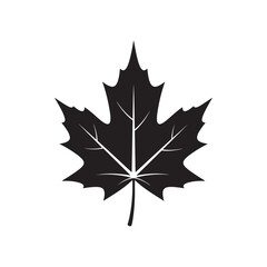 Thanksgivig Black silhouette of a maple leaf on a white background autumn fall