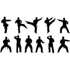 Karate practitioners performing various martial arts poses in silhouette