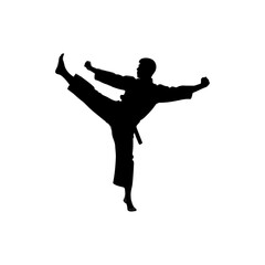 Karate practitioner performing high kick, silhouette on white background