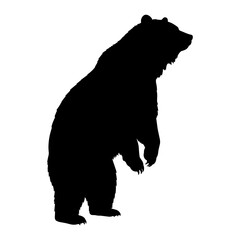 Bear Silhouette Vector Illustration , Animal Silhouette Vector
