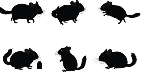 Chinchilla silhouette vector set showing rodents in different poses, sitting, eating, standing, and playing, black animal illustration for artwork.