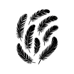 Obraz premium Elegant feathers for creative designs and inspiration