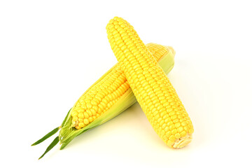 Two yellow corn cobs are on a white background