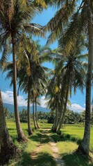 Obraz premium Palm-lined path through vibrant green fields under a clear blue sky