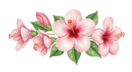 Obraz premium Pink Hibiscus Flower Arrangement with Green Leaves on Transparent Background