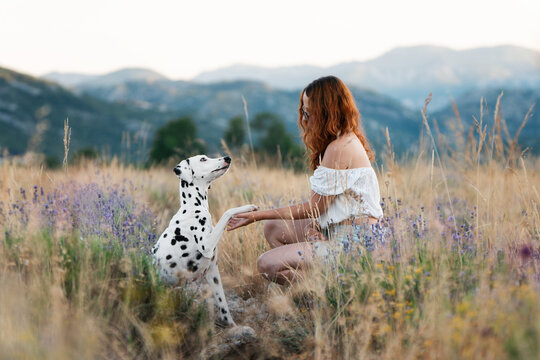 Lavender field lifestyle &ndash; woman in white hat and Dalmatian dog outdoors