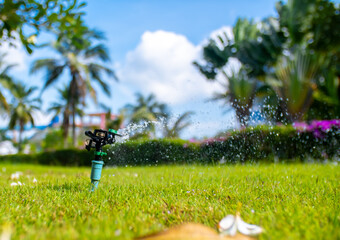 Sprinkler for automatic lawn watering. Lawn cultivation and care, garden irrigation devices. Rainbow over the garden on a sunny day.