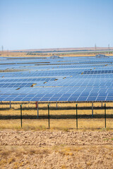 Solar panel fields in large quantities. Solar panels as alternative energy sources safe for the environment.