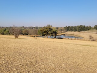 Scenic view of the Johannesburg Botanical Garden with dry grass, lake, and trees under clear blue sky.