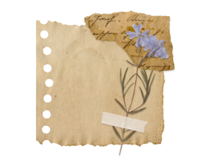 Vintage Torn Note Paper with Dried Flowers and Handwritten Notebook. Retro scrapbooking ephemera elements with tape and old texture for collage, journaling and creative craft collection