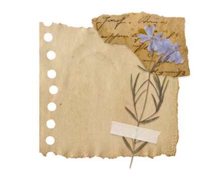 Vintage Torn Note Paper with Dried Flowers and Handwritten Notebook. Retro scrapbooking ephemera elements with tape and old texture for collage, journaling and creative craft collection - Powered by Adobe