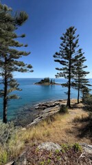 Coastal scenic view with island, trees, and clear ocean under blue sky