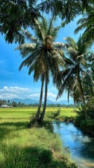 Fototapeta premium Lush tropical scene. Coconut trees by a river, fields, and mountains