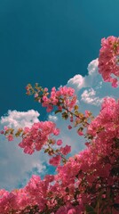 Fototapeta premium Pink flowers bloom against a bright blue sky and fluffy clouds