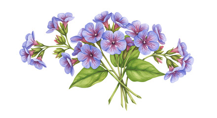 Purple Blue Flower Bouquet with Green Leaves on Transparent Background for Botanical Decor