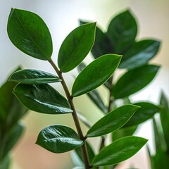 Close-up of vibrant green leaves